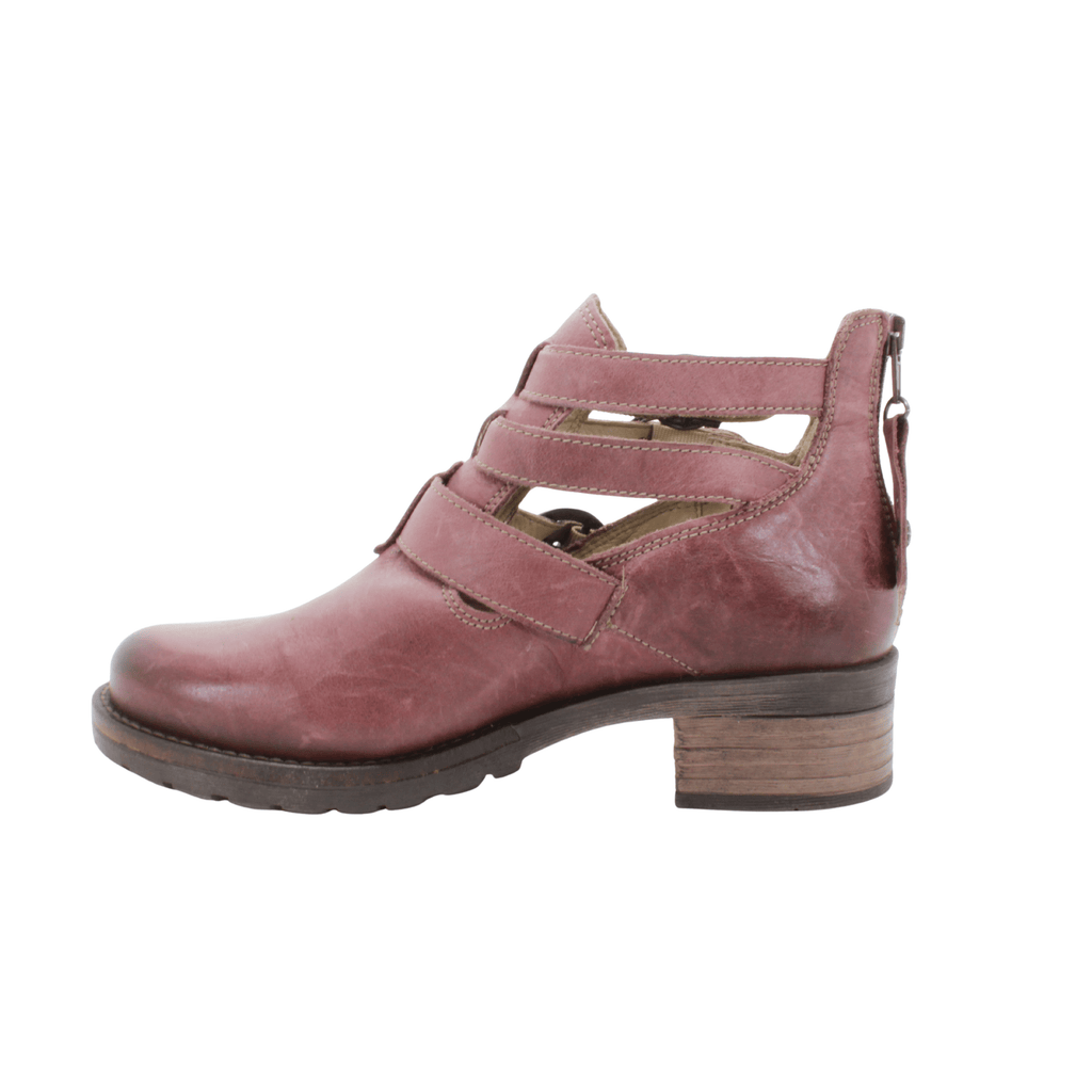 Dromedaris Unique Style - Kelsy