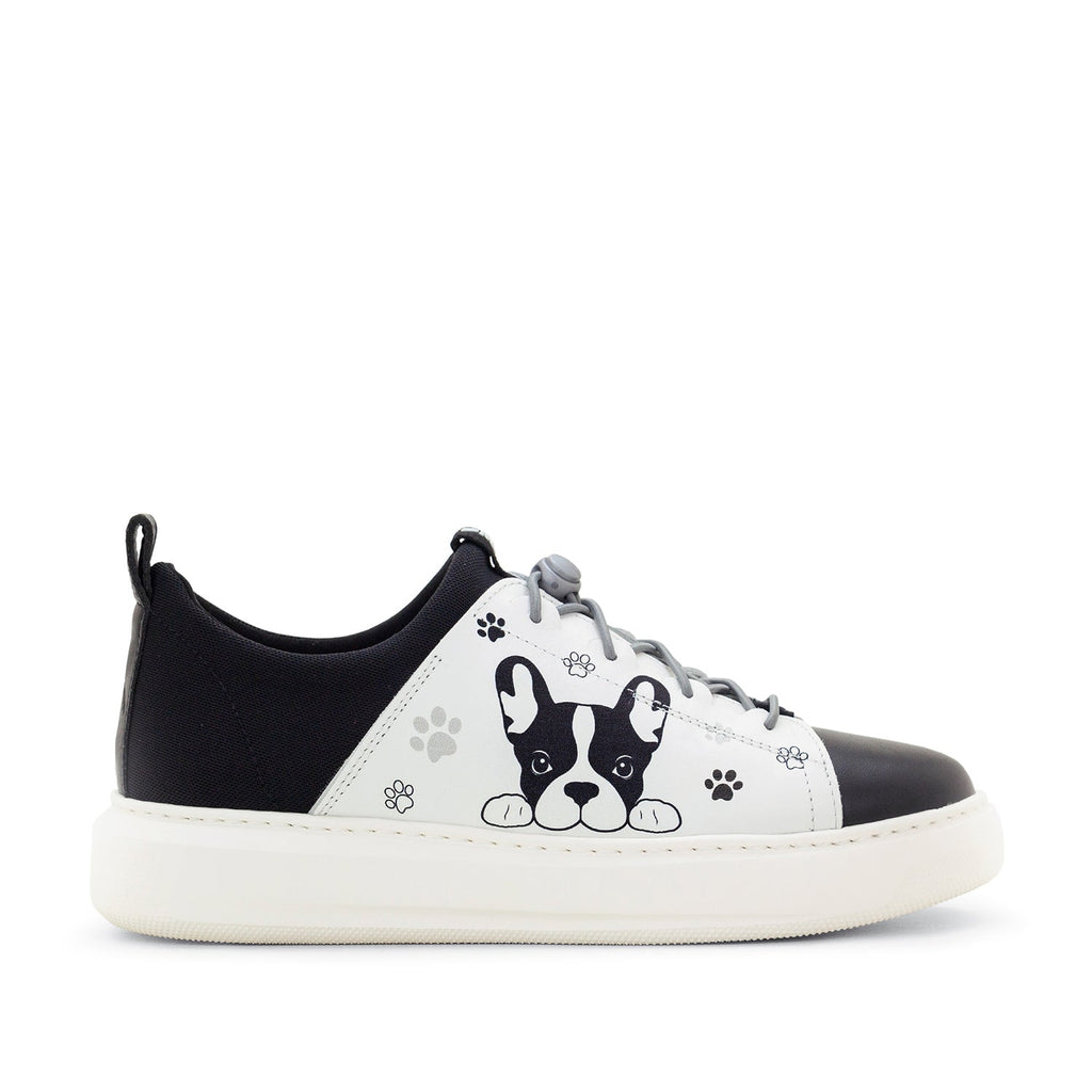 Dromedaris Oyster Bay Leather & Canvas Sneaker - Ozzie Dog