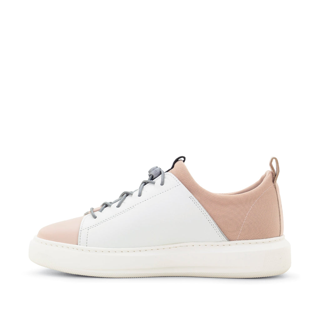 Dromedaris Oyster Bay Leather & Canvas Sneaker - Ozzie Dog
