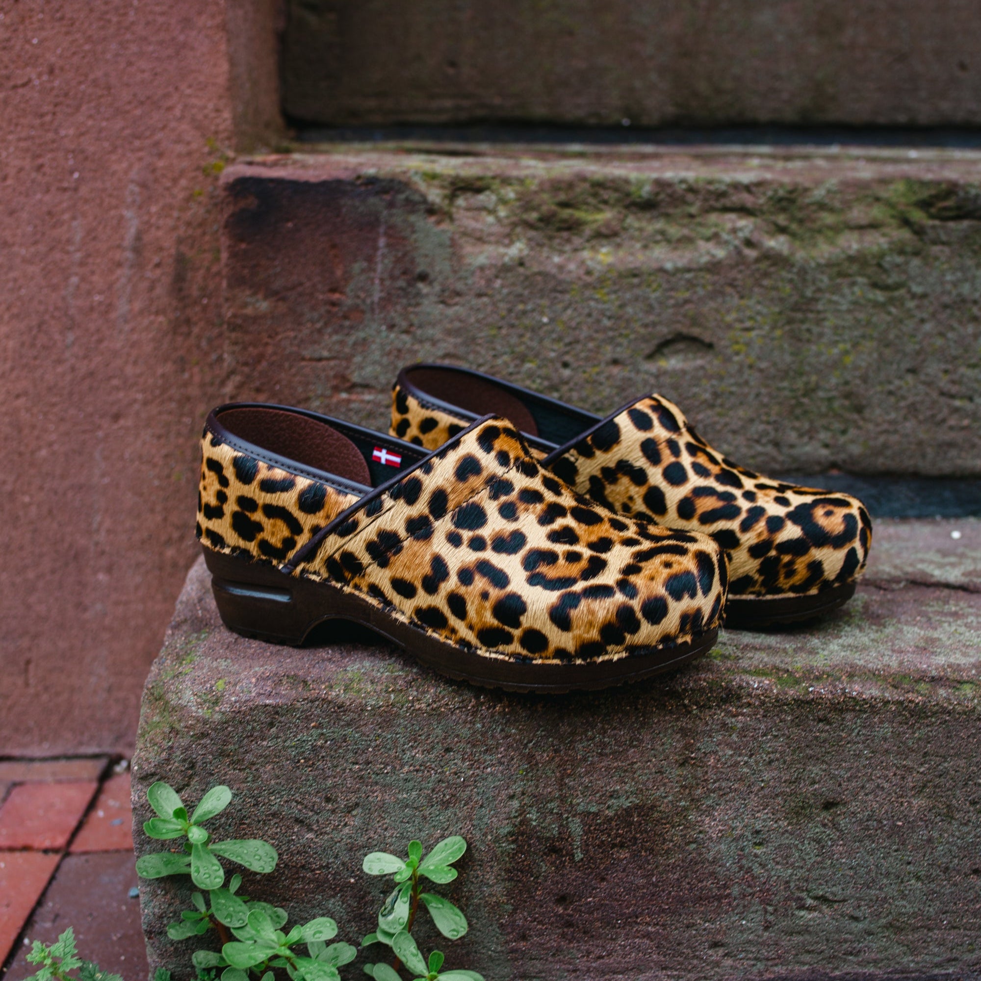 Sanita Lyon Women's Clog in Nature